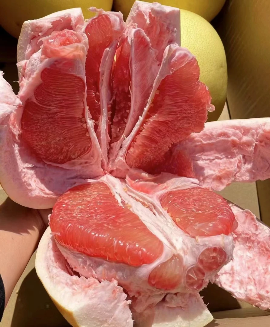 西双版纳青柚一个