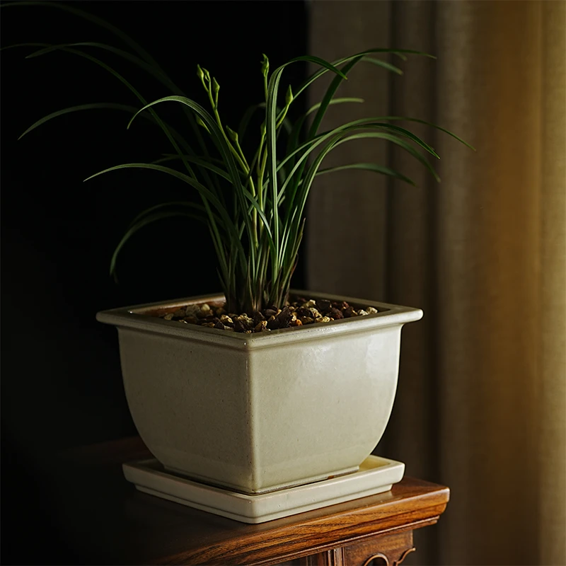 轻奢 坐忘听云 秦夕洪 听云壹号 紫砂釉盆 兰花多盆景透气紫砂盆