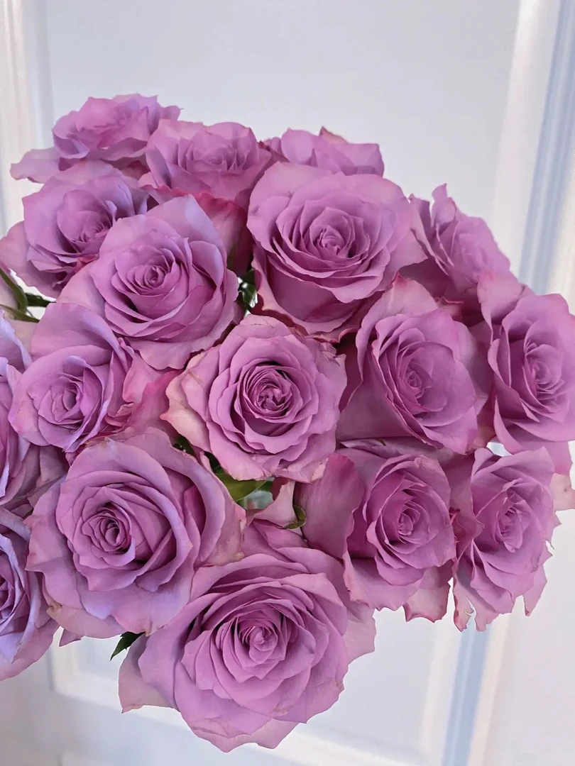 花卉用具—花瓶/醒花桶/打刺器/干花相框/营养剂