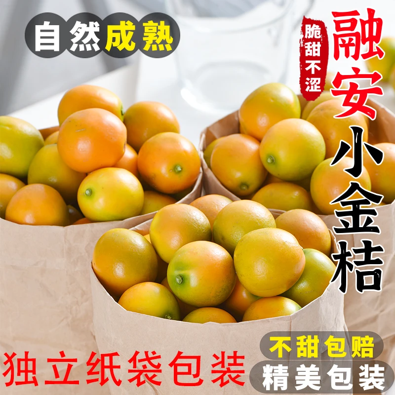 【脆爽冰糖芯】广西脆皮金桔1-5斤滑皮金桔新鲜小橘子OO2
