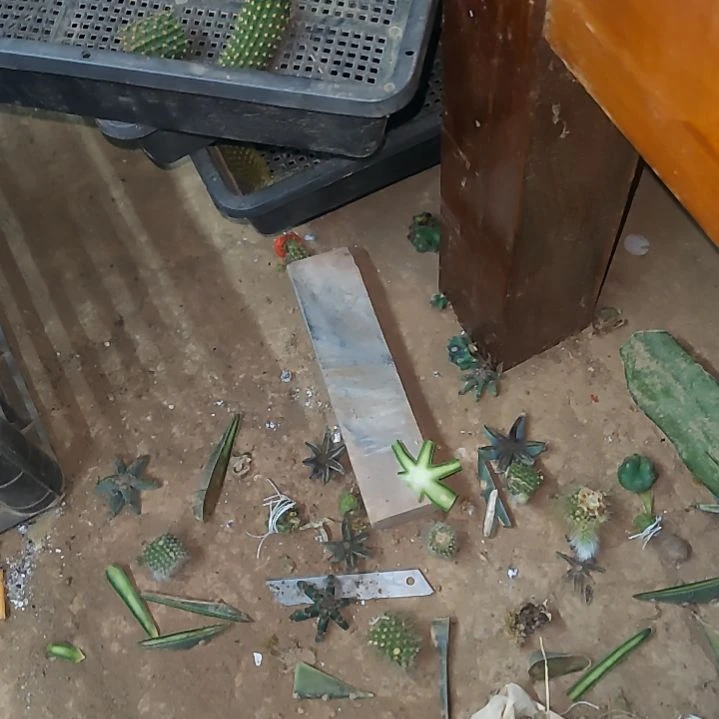 用**秀40支架2套送2个龙爪掌片