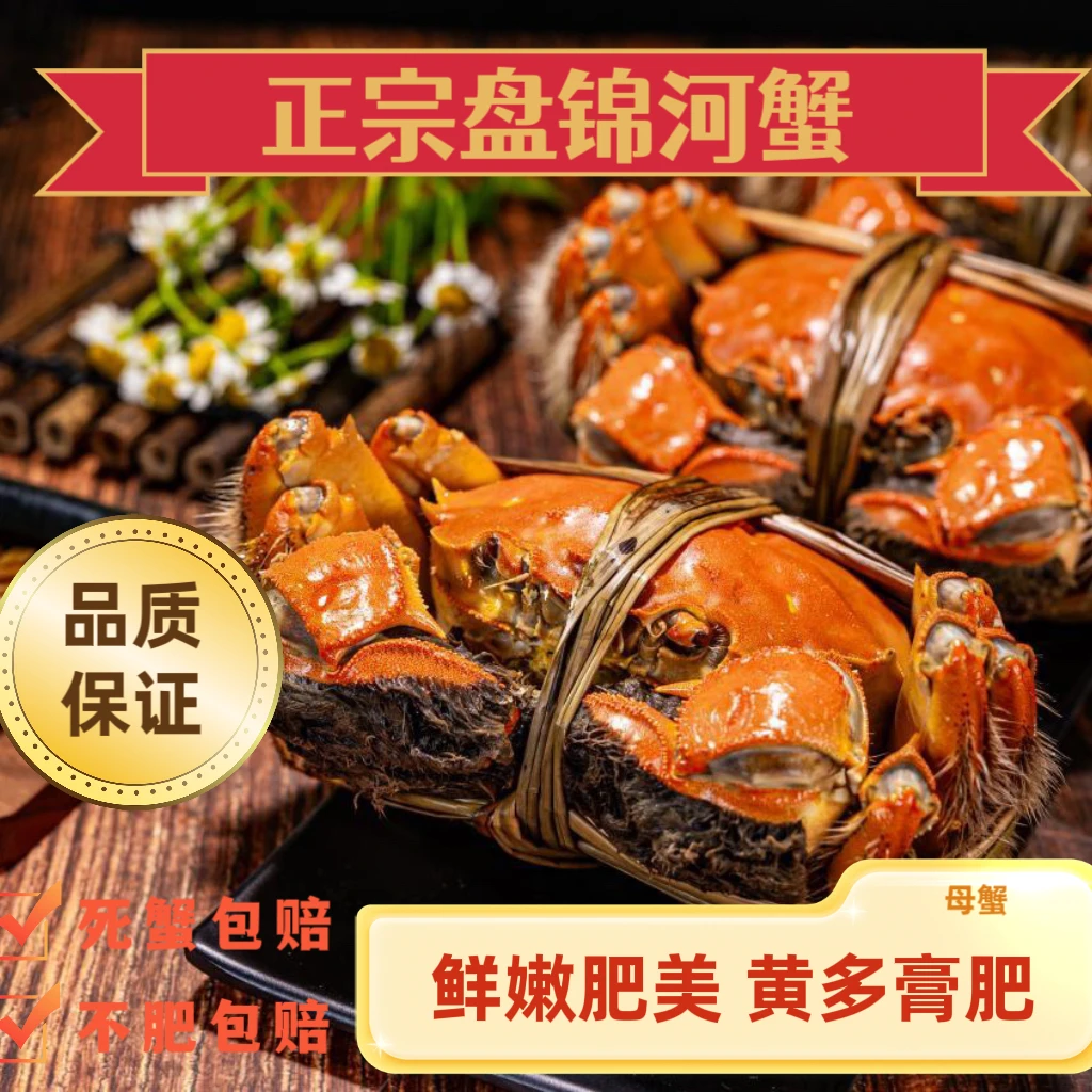 【活蟹】盘锦河蟹母蟹1.6-1.8两/只2斤左右 送礼必备