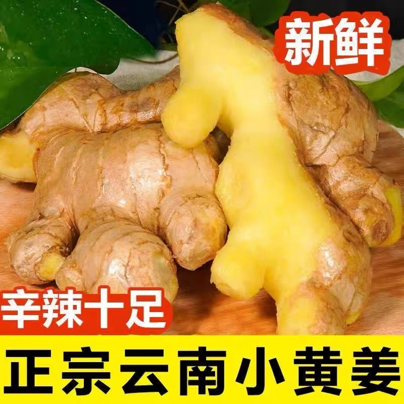 （保温发货）老姜新鲜云南小黄姜不熏硫磺不泡药水农家姜3斤5斤