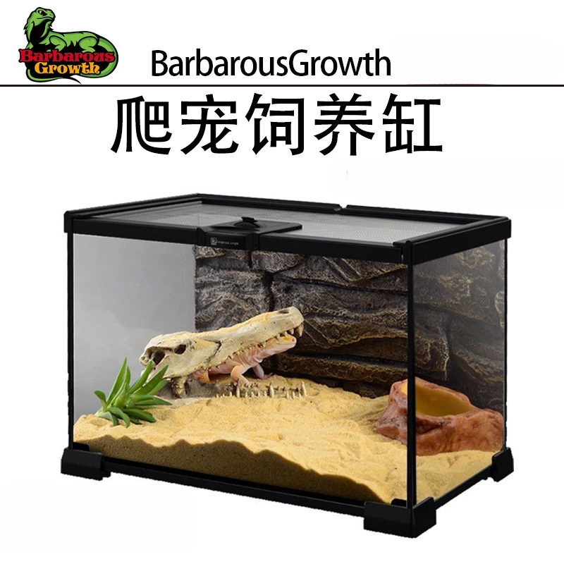 爬宠宠物玻璃缸可堆叠蜥蜴守宫甲虫蜘蛛喂养雨林造景饲养缸观赏缸