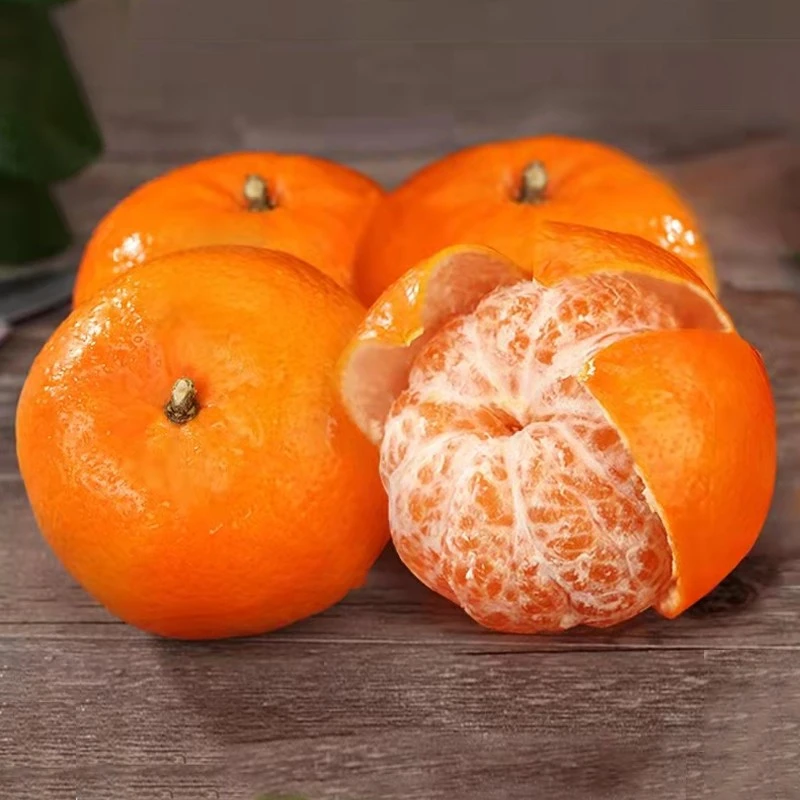 香草蜜柑高山沃柑新品柑橘皮薄香甜肉嫩多汁新鲜现摘5斤