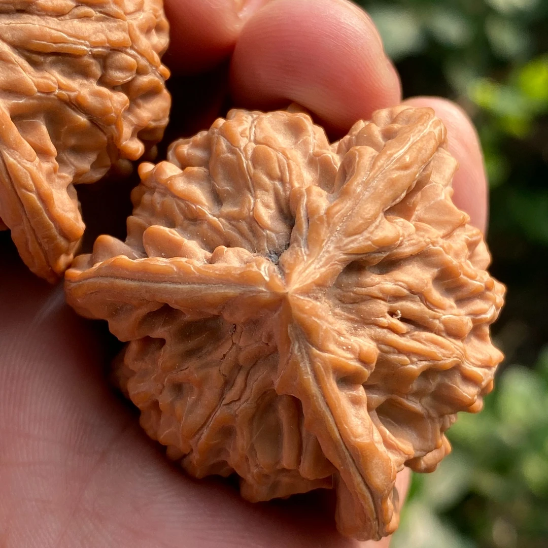 精品粗棱盘山公子帽三棱正奔文玩核桃