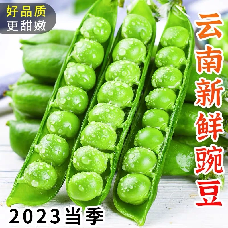 豌豆新鲜云南带壳青豆角粒农家蔬菜水果甜豆荚嫩1-5斤当季整箱