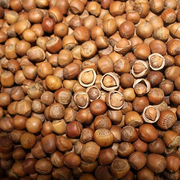 2025薄皮榛子熟开口食用发声果实均匀坚果承德特产干果营养零食