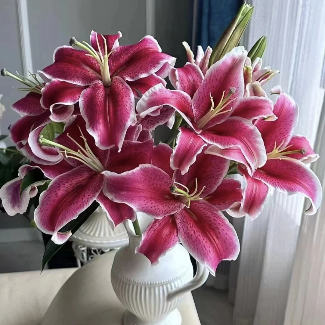唐【黑美人百合2头5支】云南斗南鲜花基地直发花材