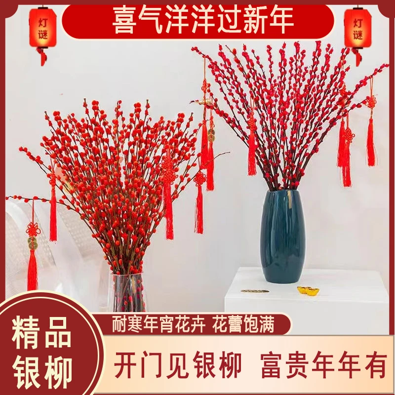 银柳真花鲜枝年宵花卉红色干花福桶银柳水培植物银柳客厅装饰室内