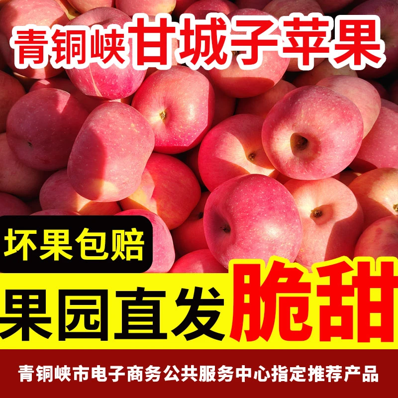 宁夏青铜峡甘城子红富士苹果果园直发