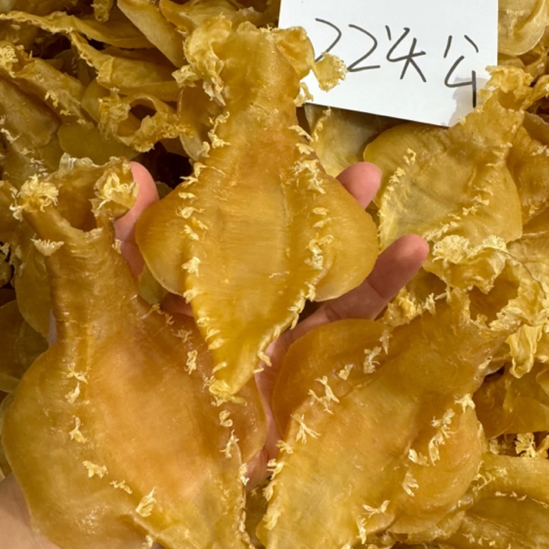 鱼胶工厂直出刺花22头公