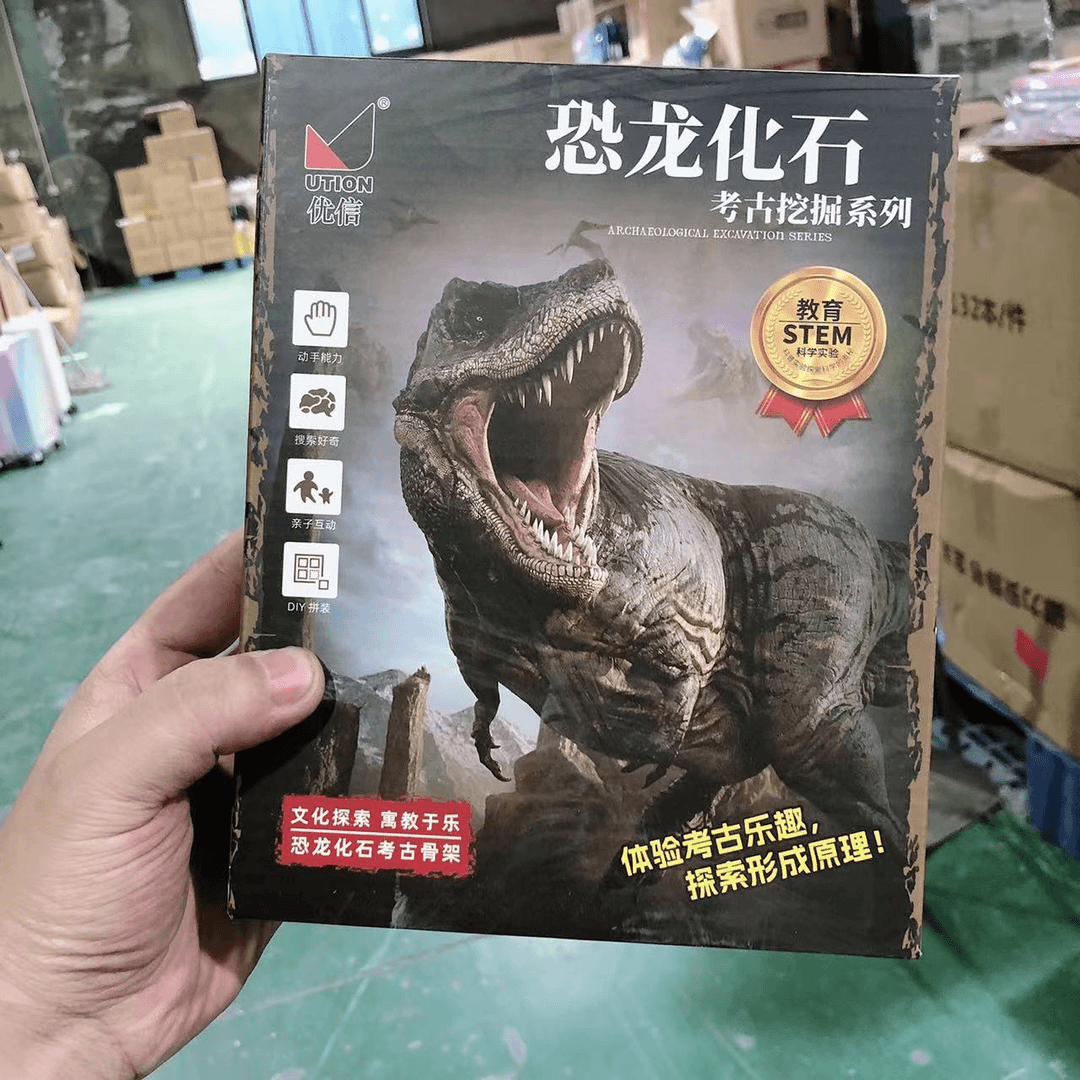 6804 学生恐龙化石玩具