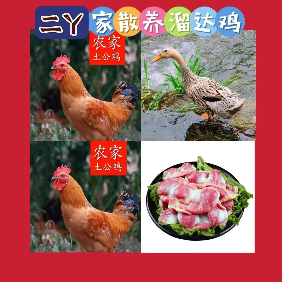 两只公鸡➕一只鸭 ➕一袋鸡珍 ➕一袋鸡心➕两捆粉条