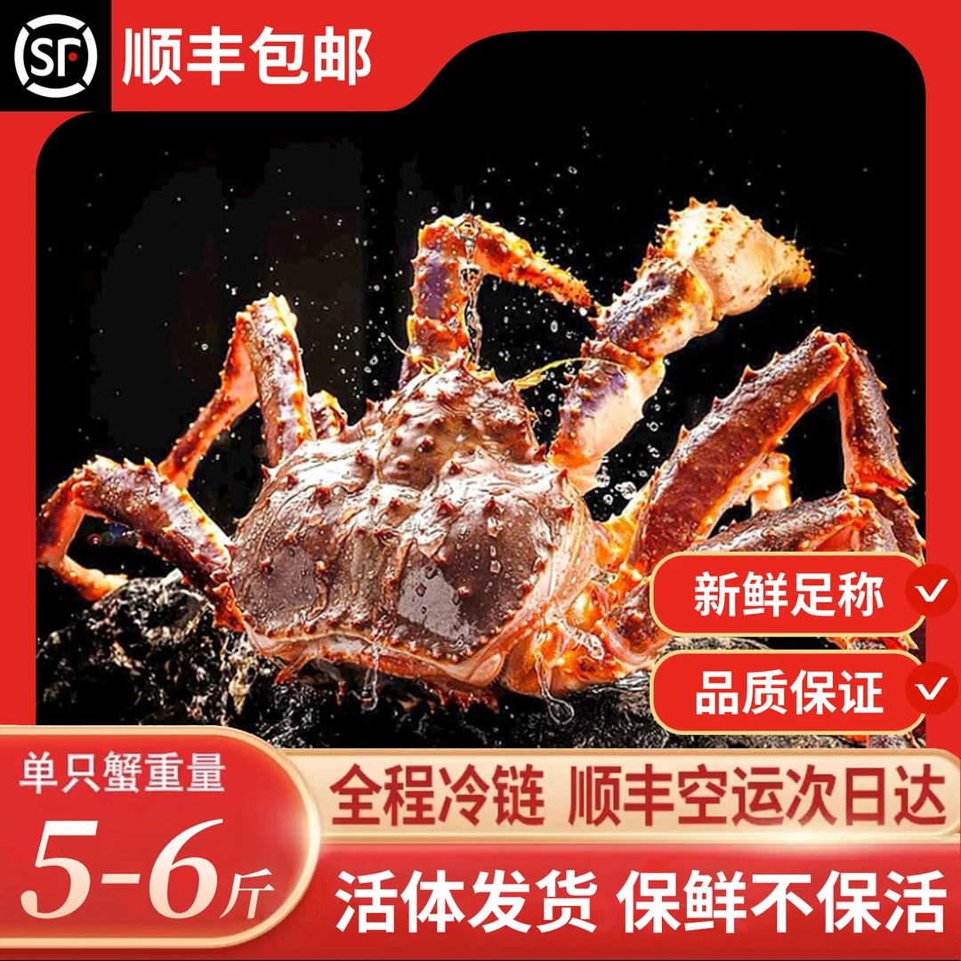 俄罗斯鲜活帝王蟹5-6斤
