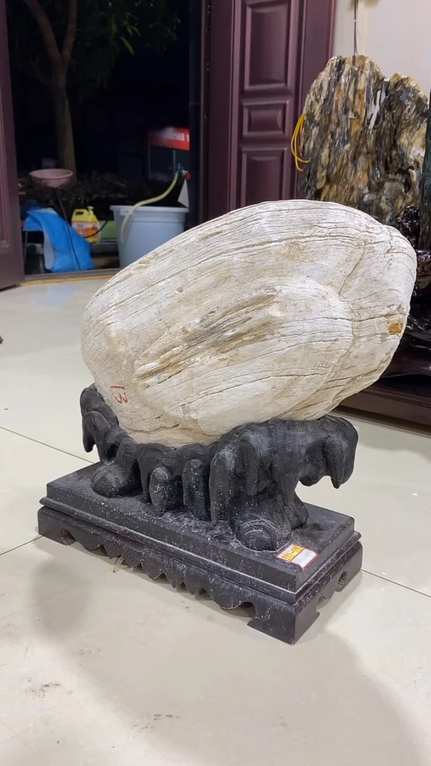 【闪购商品】硅化玉珠宝奇石未镶嵌1