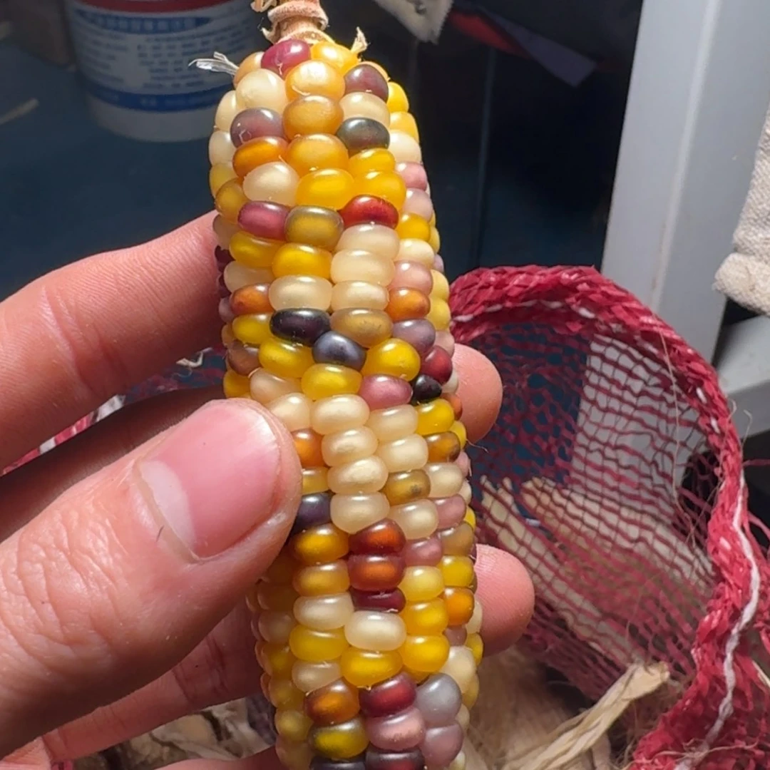 【闪购商品】無*谓9888888888