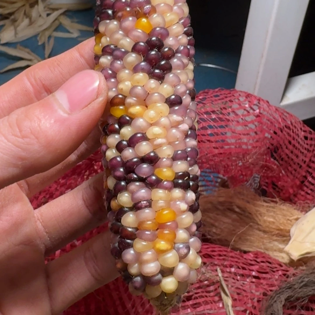 【闪购商品】叫**姐888888888