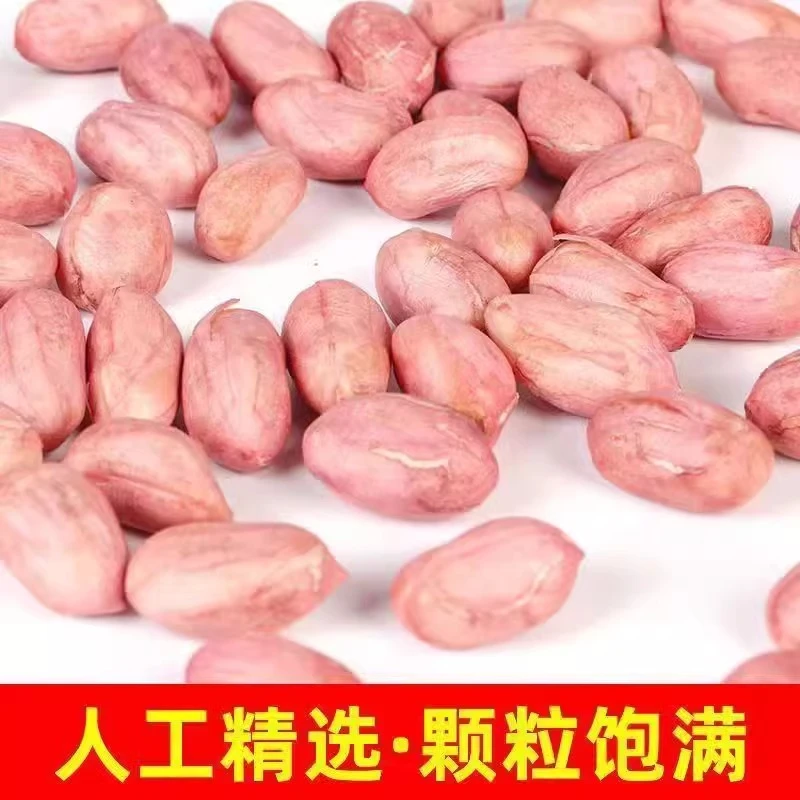 新鲜生花生米8毫米以上大个花生米不带壳新鲜粉皮大花生仁批发
