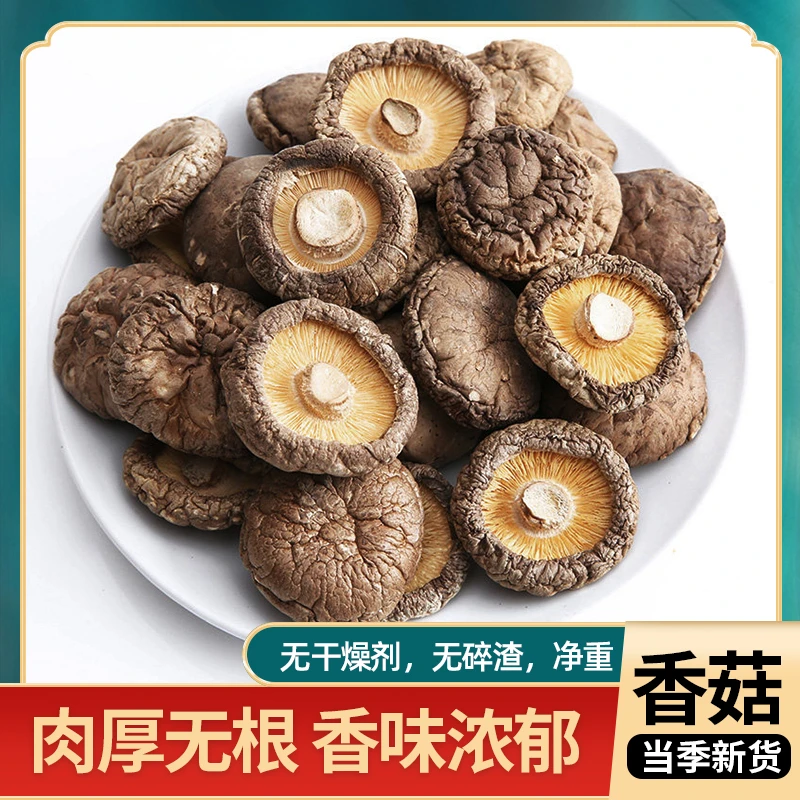 陕西秦岭新货剪脚干香菇肉厚无根小香菇