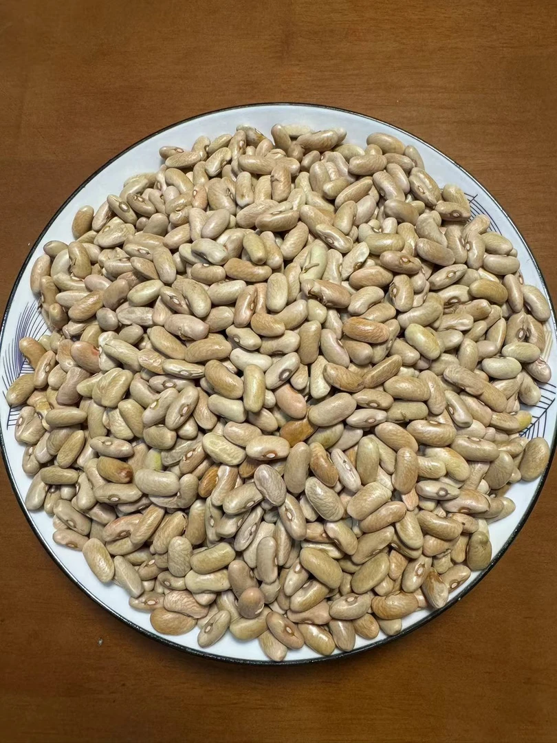 镇雄高山农家皮壳豆