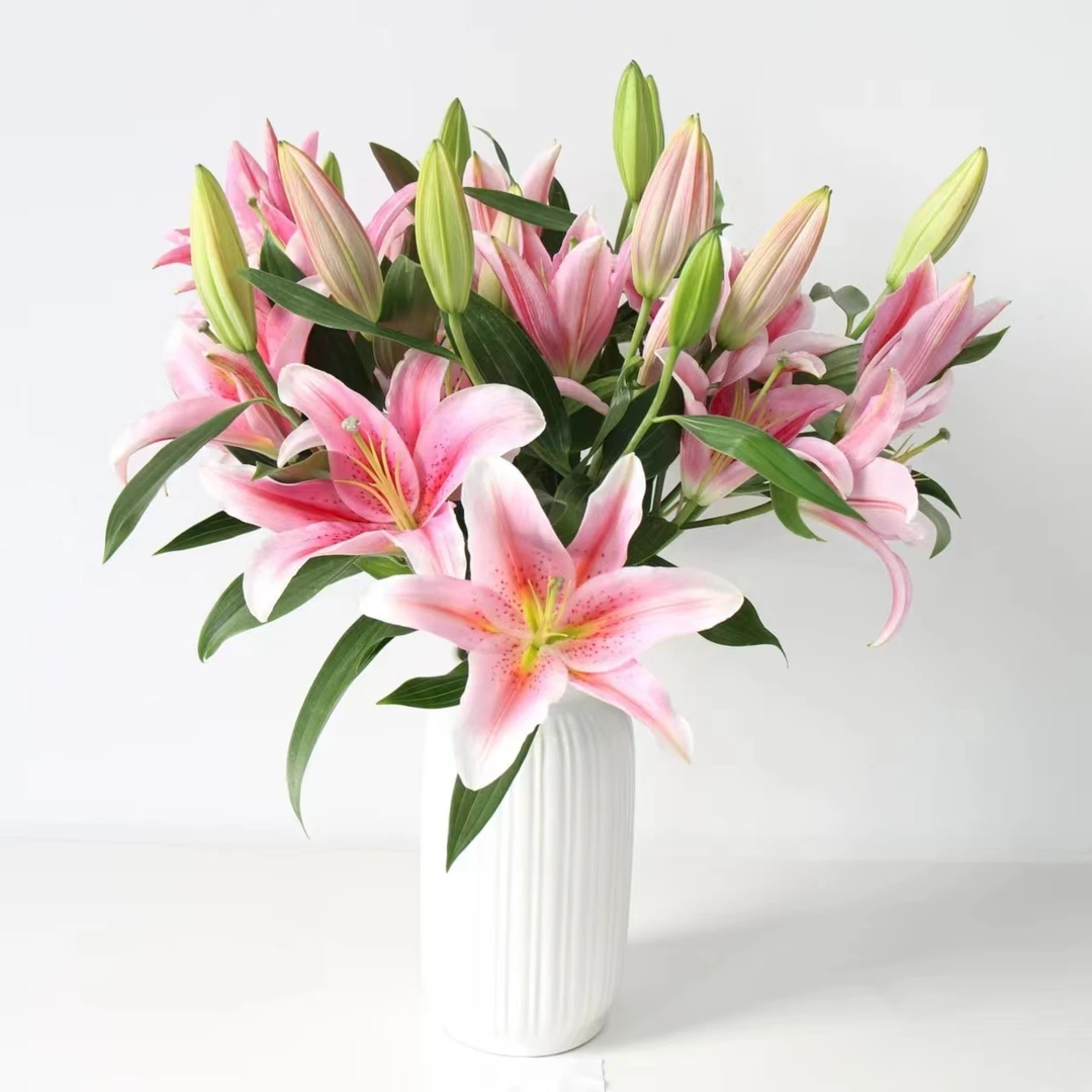 【花农严选】A级粉色香水百合(云南基地直发冷链空运发货)