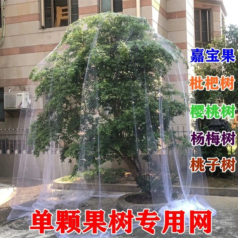 新款果树防鸟罩嘉宝果枇杷樱桃蓝莓果园尼龙防护网菜地阳台保护罩