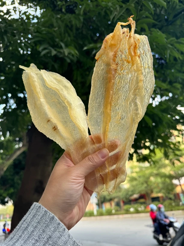 北海母胶6.8头肉质漂亮活动价福利价