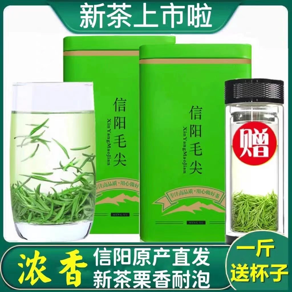 正宗信阳绿茶2025特级新茶毛尖初芽雨前一级毛尖茶叶散装春茶500g