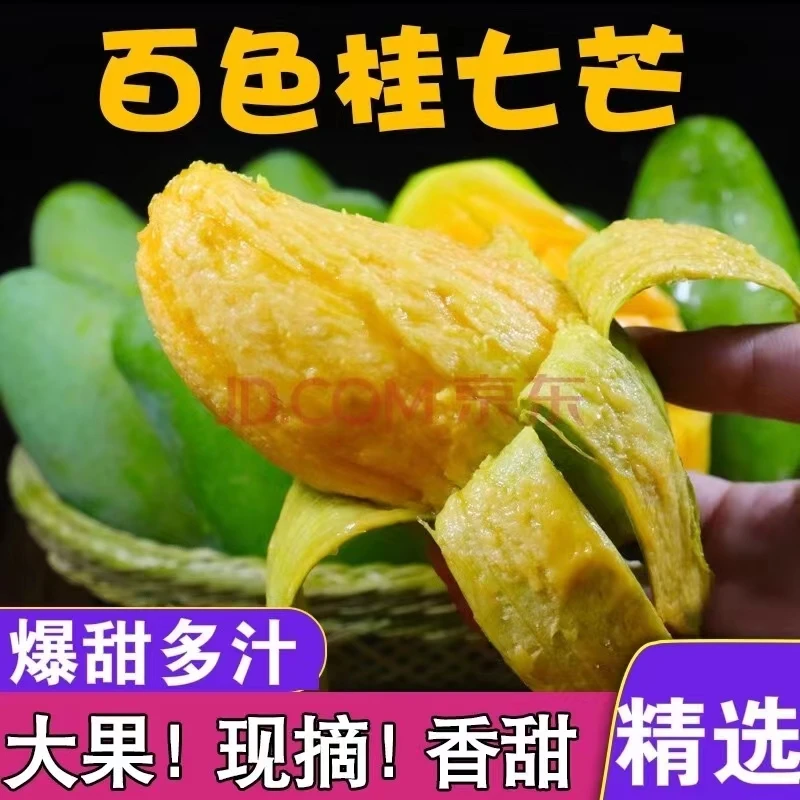 广西百色田东精品桂七芒 香甜可口 现摘现发整箱包邮