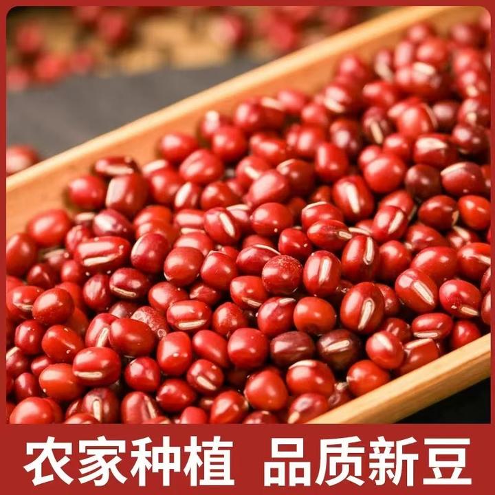 红豆农家自红小豆五谷杂粮24年新货豆类