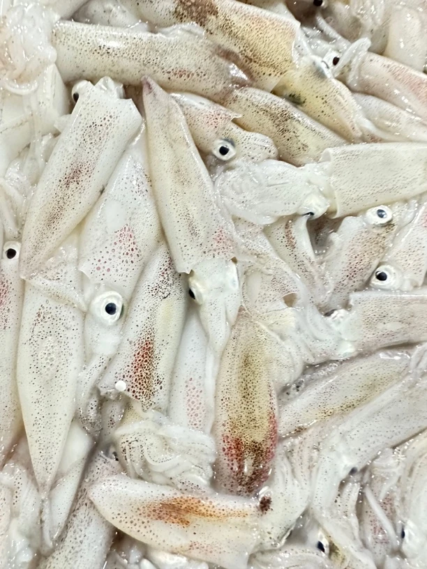 本港海补一口鱿鱼肉脆香甜一口一个！