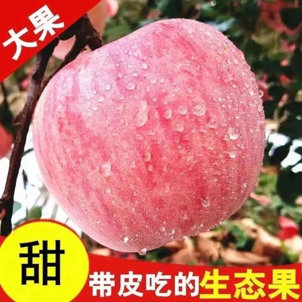 M陕西红富士丑苹果脆甜多汁3/5/9斤
