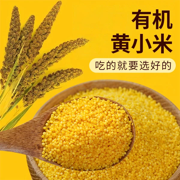 良使小米有机黄小米现货先发食用五谷杂粮软糯黄小米粥官方旗舰店