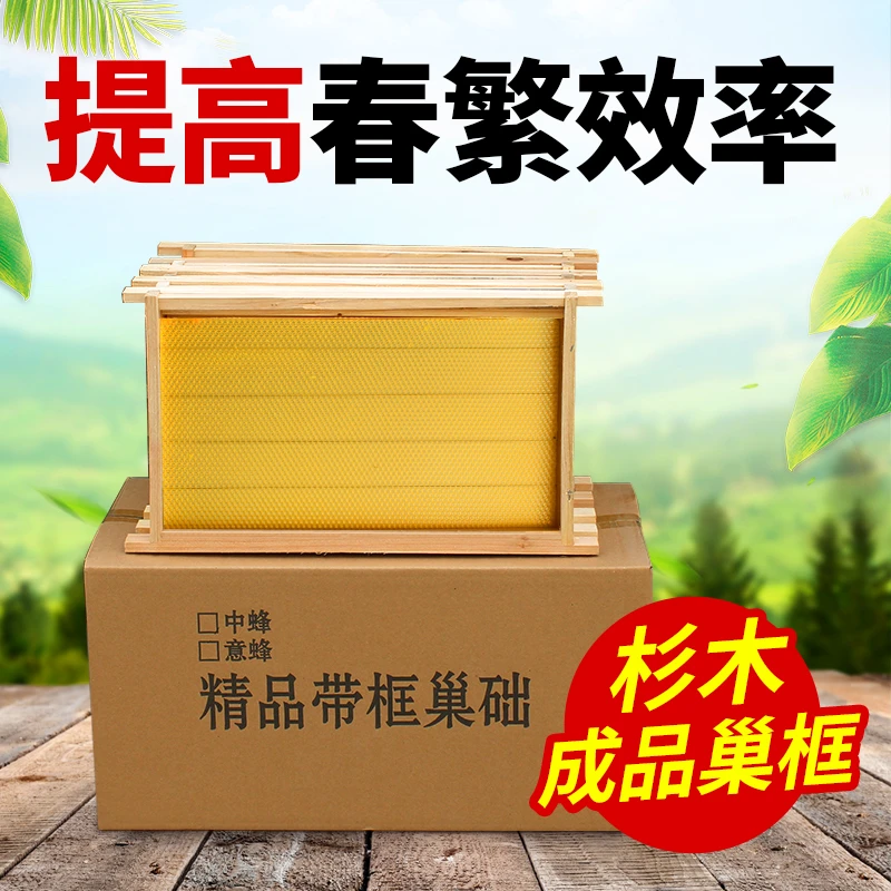 中蜂成品巢框中意蜂成品巢框优选成品意杉木带巢础上钢丝成品巢脾