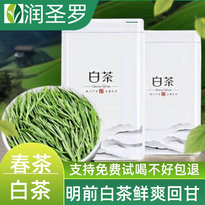 【春茶季】春茶新茶高山明前绿茶白茶安吉茶叶高档罐装浓香型口粮茶