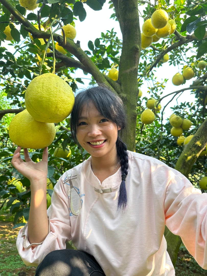 广西桂林沙田柚子千秋沙田柚纯甜无酸产地直发3/5/9斤