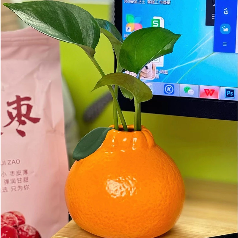 创意橘子花瓶陶瓷水培植物器皿客厅办公摆件创意ins风插花小花瓶