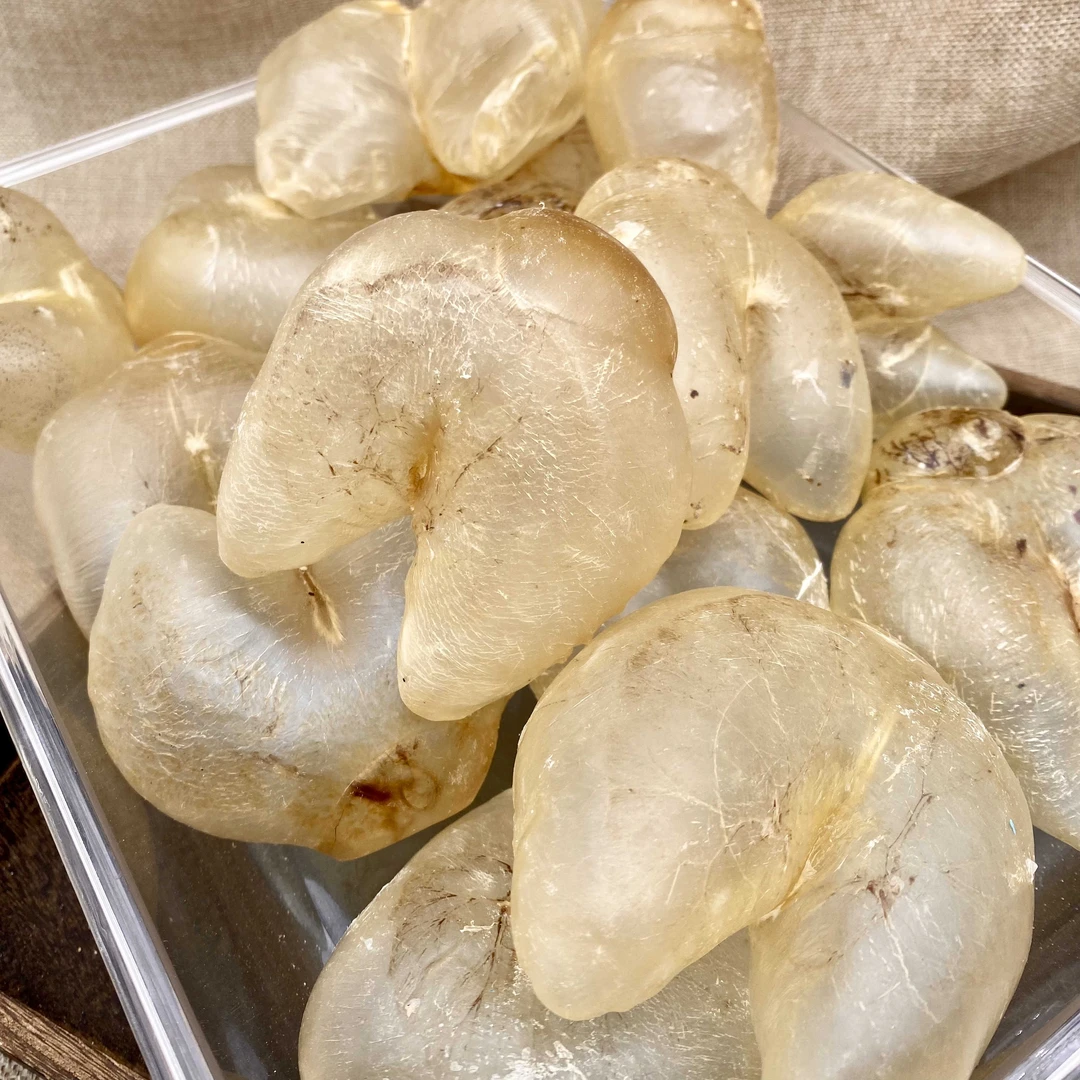 鸡泡胶（大）湛江干货
