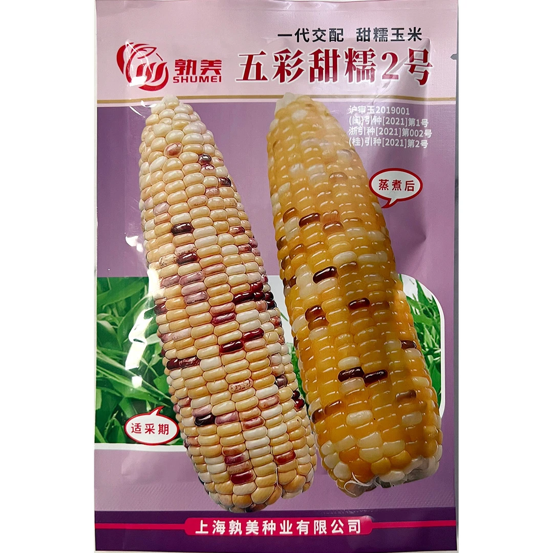 五彩甜糯2号甜糯玉米种子高产早熟玉米彩糯苞米籽矮杆高产粘孰美