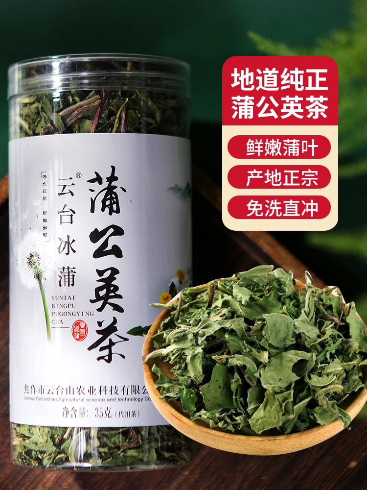 云台冰蒲蒲公英茶免洗绿色优质新鲜生态熬夜罐装佳品冲泡自然产地