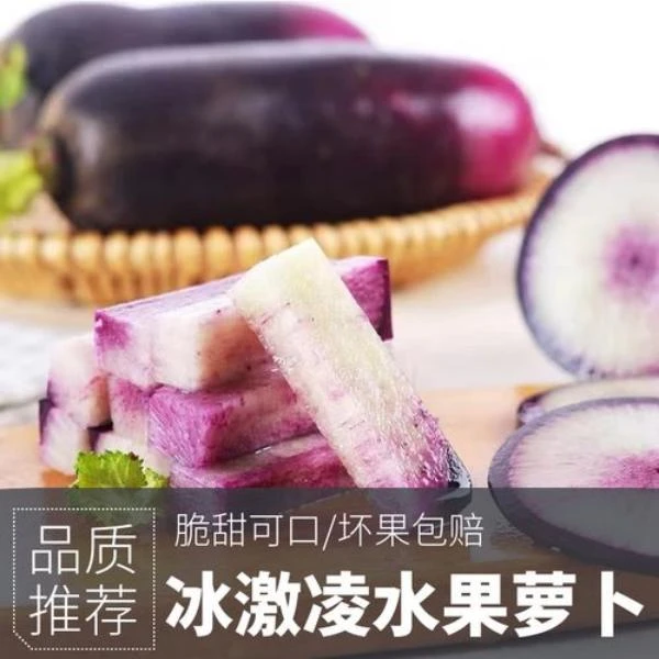 甄选天津正宗沙窝特产优质冰激凌水果萝卜生吃清脆香甜好吃5斤9斤