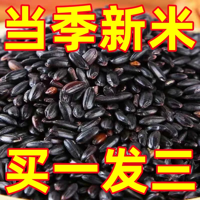 【买一斤发三斤】黑米精选黑米新米好物黑大米杂粮黑米粥饭营养
