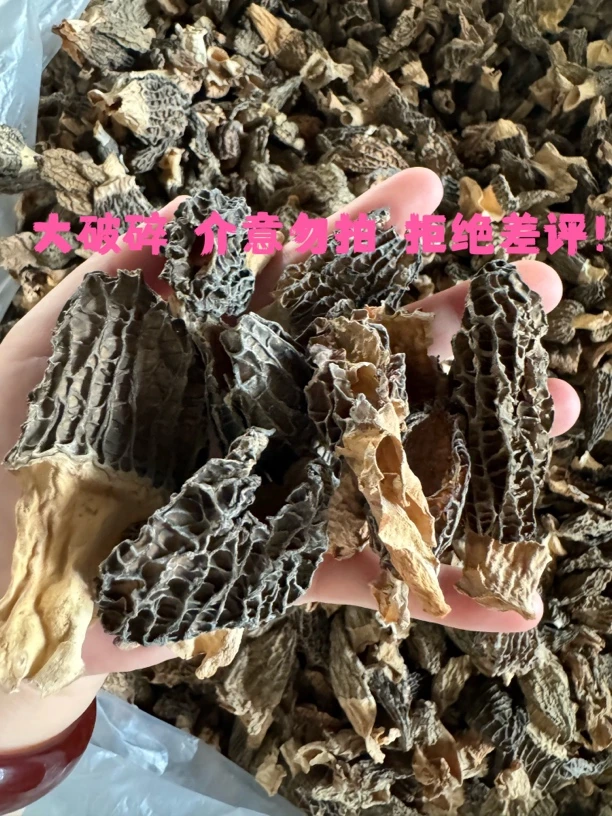 2025头茬新货羊肚菌大破微损一斤装
