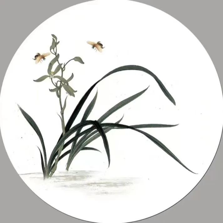 【美美兰亭】精品兰花一物一拍 - 乱拍发植料