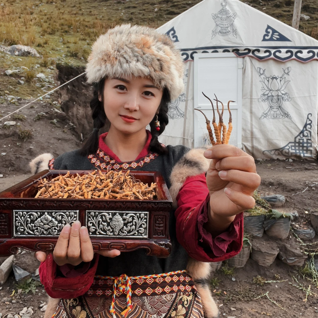 （小阿妹）5根2024新货冬虫夏草头期虫草自己吃性价比高饱满