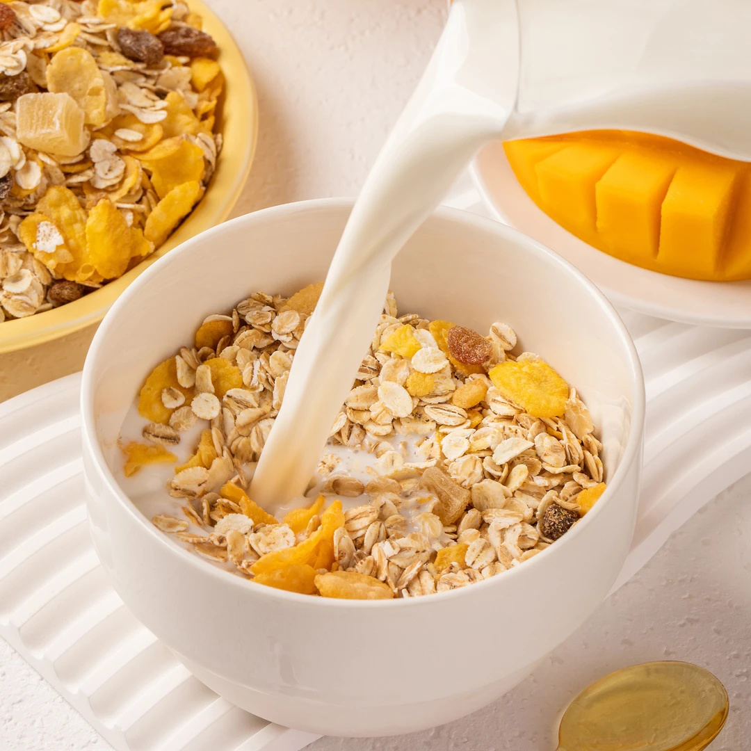 欧洲进口经典谷物燕麦黑麦玉米片葡萄干麦片