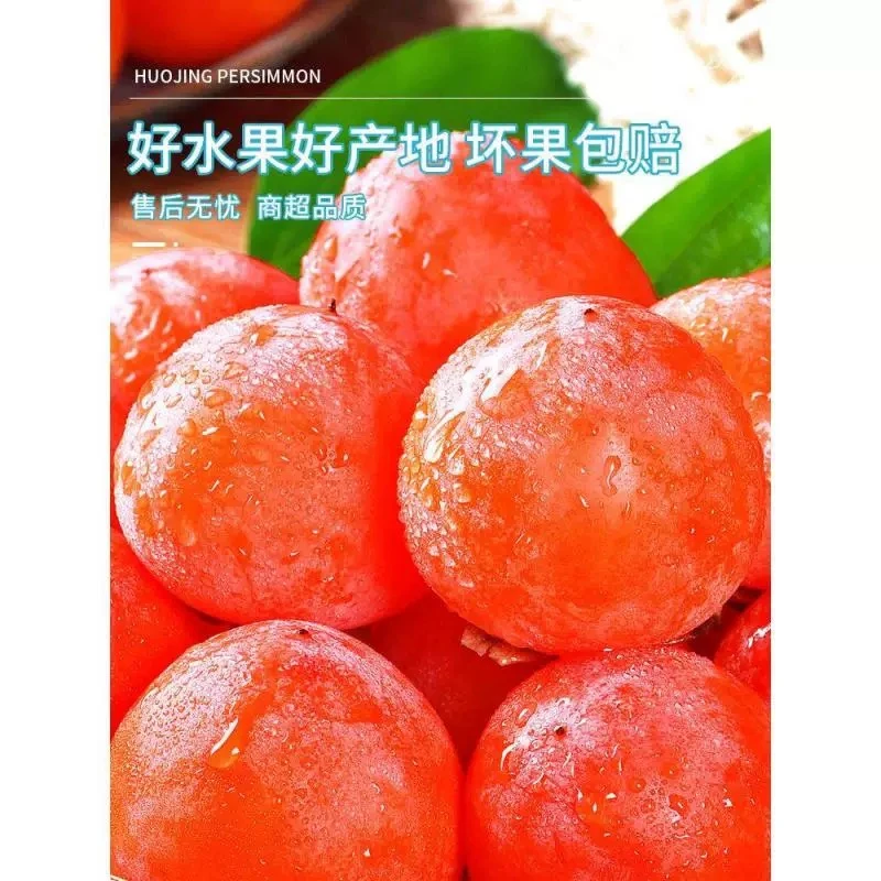 【海悦助农】流心柿子陕西火晶柿子现摘包邮溏心软柿子皮薄甜蜜爆汁