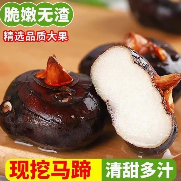 【海悦助农】马蹄果(海悦专属2)
