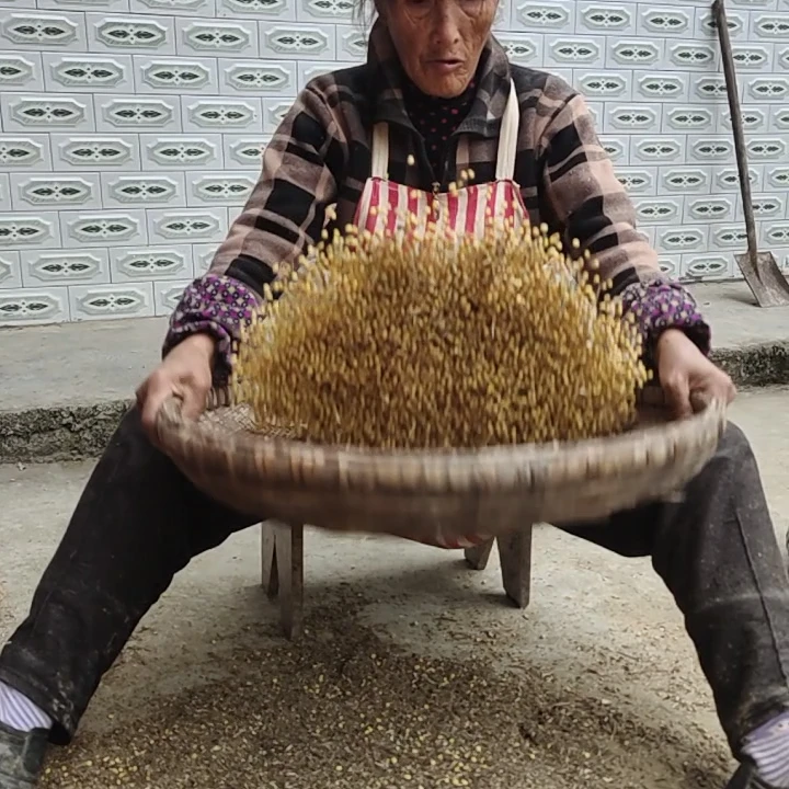 自家黄豆农村黄豆农产品